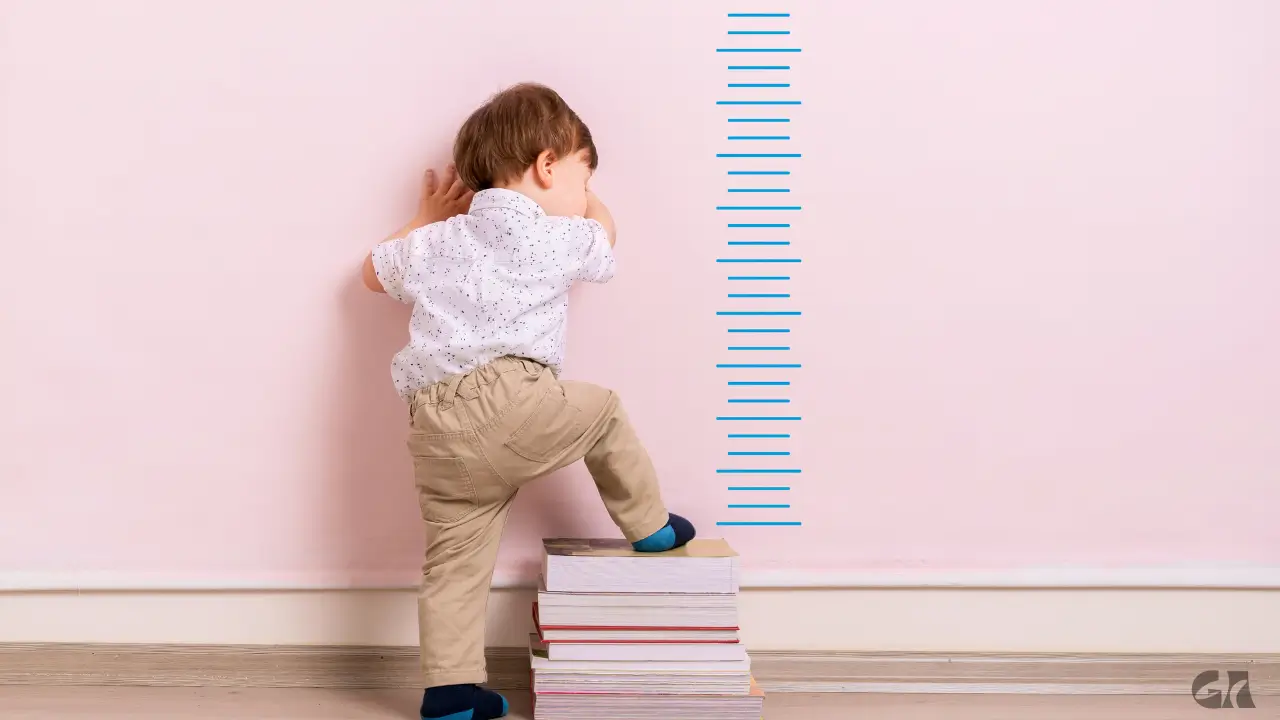 Fases do Desenvolvimento Infantil