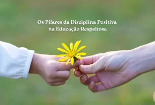 Os Pilares da Disciplina Positiva